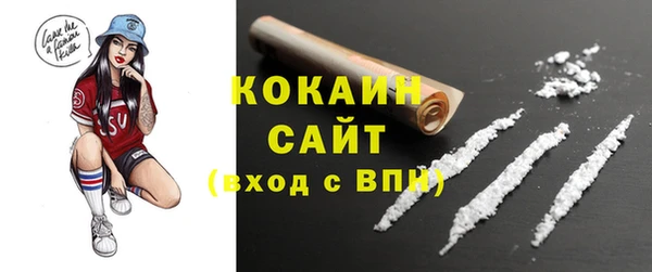 apvp Кукмор