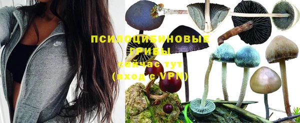 ешки Ладушкин