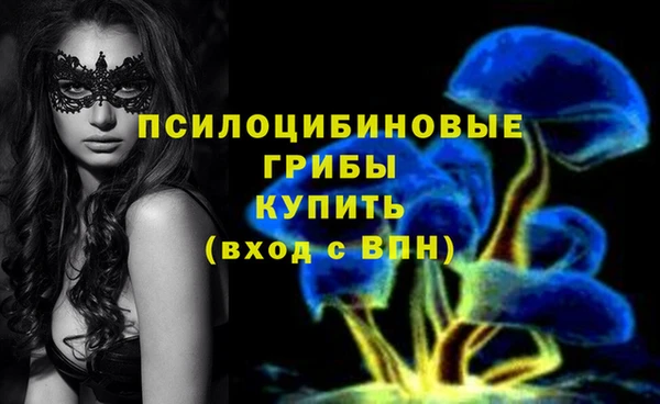 герыч Балахна