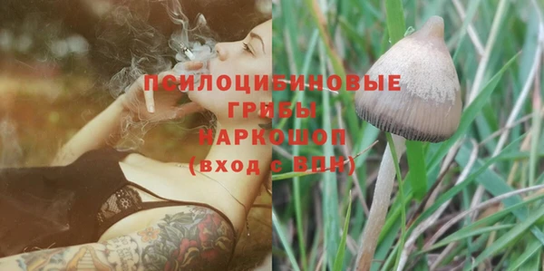 не бодяженный Билибино
